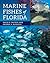 Marine Fishes of Florida