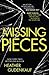 Missing Pieces