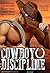 Cowboy Discipline: A Western Anthology