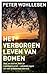 Het verborgen leven van bomen: Wat ze voelen, hoe ze communiceren - ontdekkingen uit een onbekende wereld
