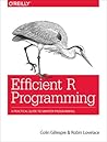 Efficient R Programming by Colin Gillespie