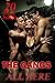 EROTICA: THE GANGS ALL HERE: HUGE BOX SET 2016 BUNDLE, MASSIVE STUDS, GANGS, BI, MMF MENAGES, INNOCENT & ROMANCE NOVELLAS
