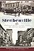 Remembering Steubenville: From Frontier Fort to Steel Valley (American Chronicles)