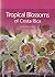 Tropical Blossoms of Costa ...