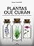 Plantas que curan: 50 tratamientos naturales para sanar todo tipo de afecciones (Spanish Edition)