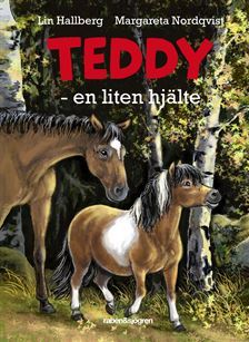 Teddy - en liten hjälte (Teddy #10)