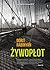 Żywopłot by Dorit Rabinyan