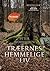 Træernes hemmelige liv