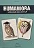 Humaniora – videnskab eller varm luft