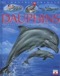 Les dauphins (Board Book)