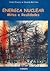 Energia nuclear : mitos e realidades