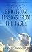 Provision Lessons from the Eagle by Gerald Doggett