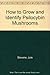 How to Grow and Identify Psilocybin Mushrooms