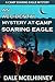An Accidental Mystery at Camp Soaring Eagle