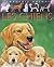 CHIENS (LES)