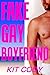 Fake Gay Boyfriend (First T...