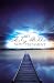 NIV, Outreach New Testament