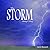 The Storm (Treasures of Tim...