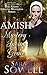 Amish Mystery - Saving Grace