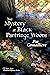The Mystery at Black Partri...
