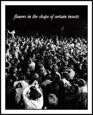 Flowers in the Shape of Certain Insects