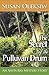 The Secret of the Pulluvan Drum: An Anita Ray Mystery Story