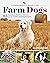 Farm Dogs: A Comprehensive ...