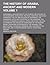 The History of Arabia, Ancient and Modern; Containing a Descr... by Andrew Crichton
