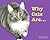 Why Cats Are by Tana Thompson