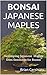 BONSAI JAPANESE MAPLES: Developing Japanese Maples from Seedlings for Bonsai (Okami Gardens Bonsai Series)