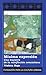 Mínima expresión: una muestra de la minificción venezolana