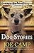 Dog Stories: Everything You Need To Know About Life Is Right There At Your Feet