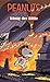 Peanuts 8: König der Lüfte (German Edition)