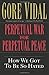 Perpetual War for Perpetual Peace by Gore Vidal