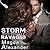 Storm Ravaged (Storm Damages, #2)