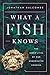 What a Fish Knows: The Inne...
