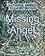 Missing Angel