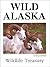 Wild Alaska by Doug Lindstrand