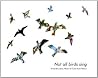 Not all birds sing by Sweta Srivastava Vikram