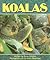 Koalas (Literacy 2000)