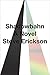 Shadowbahn by Steve Erickson