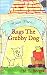 Rags The Grubby Dog