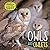 Owls and Owlets
