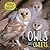 Owls and Owlets by Annabelle Lynch