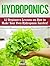 Hydroponics: 62 Beginners L...