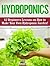 Hydroponics by Ronald Lee