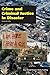 Crime and Criminal Justice in Disaster, Third Edition