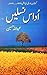 Udas Naslain / اداس نسلیں by Abdullah Hussein