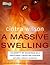 A Massive Swelling by Cintra Wilson