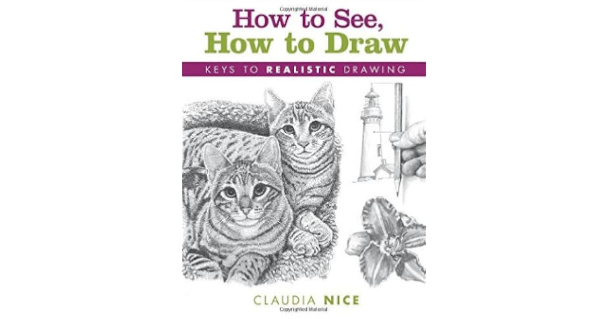How to See, How to Draw Keys to Realistic Drawing by Claudia Nice